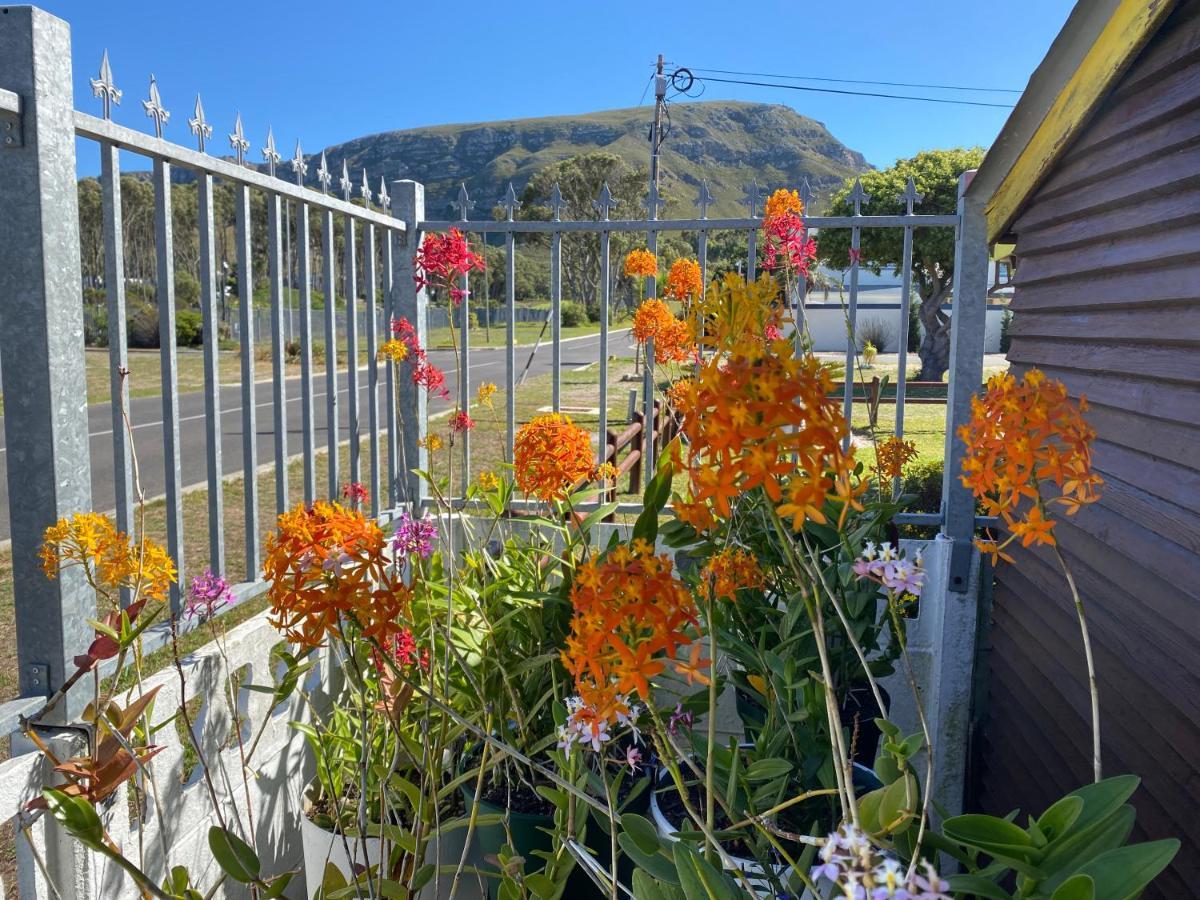 Hermanus 60 On Flat Экстерьер фото